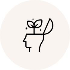 mindset mindset