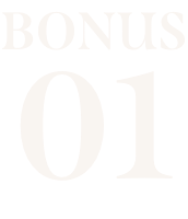 bonus01