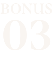 bonus03